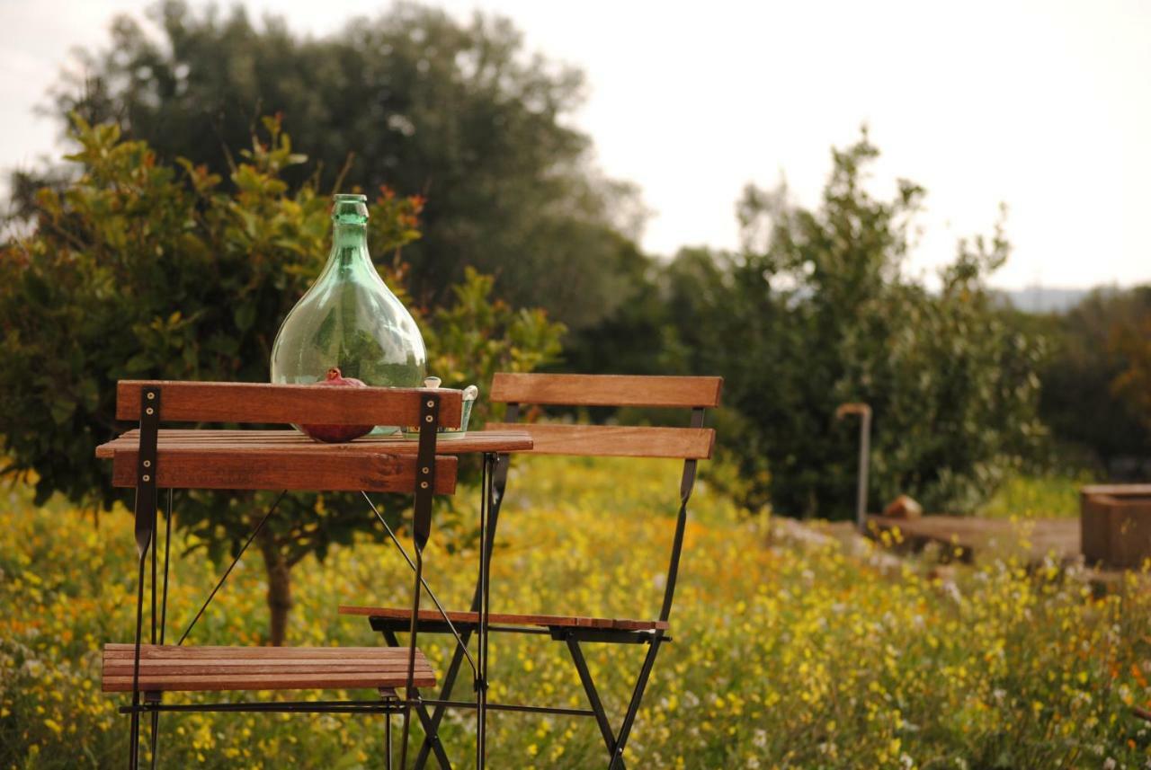 Il Giardino Di Viola Bed & Breakfast Челие Месапика Екстериор снимка