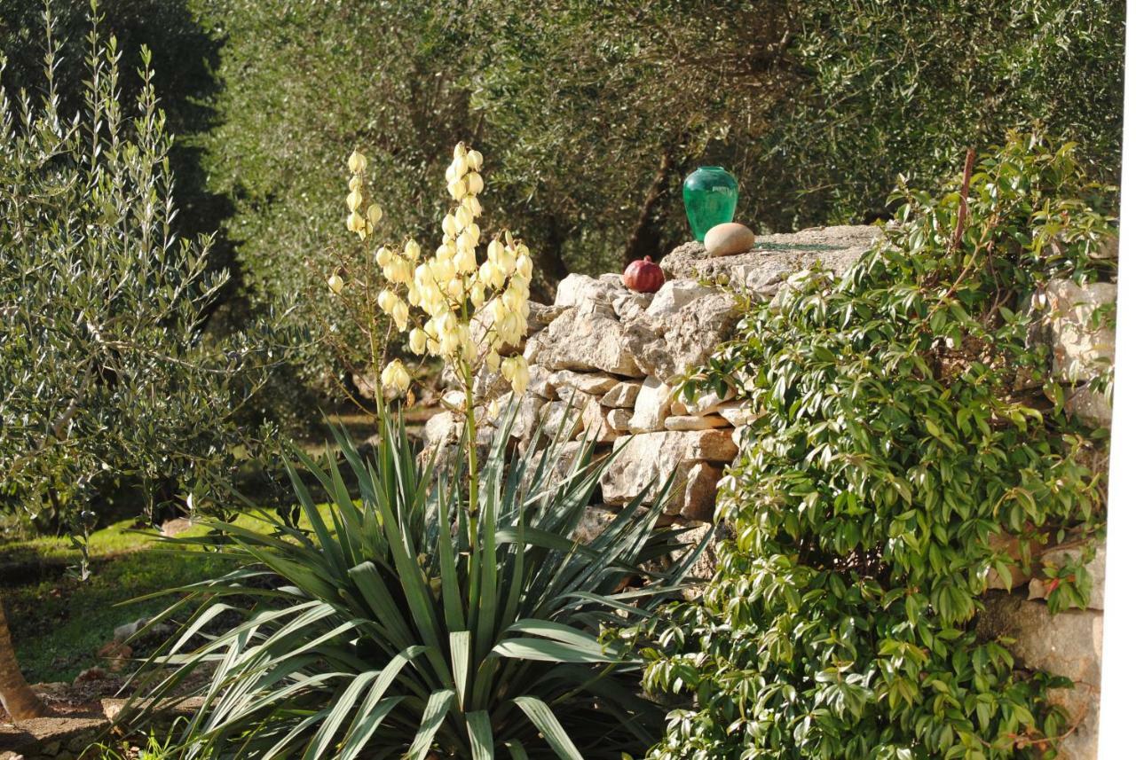 Il Giardino Di Viola Bed & Breakfast Челие Месапика Екстериор снимка