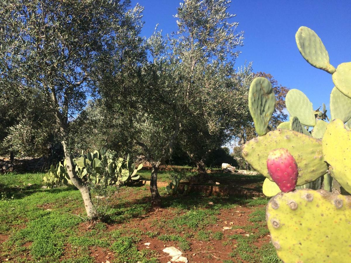 Il Giardino Di Viola Bed & Breakfast Челие Месапика Екстериор снимка