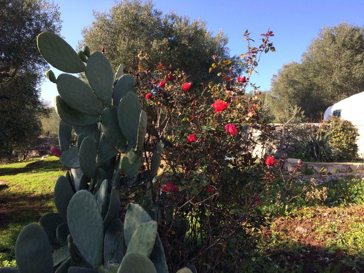 Il Giardino Di Viola Bed & Breakfast Челие Месапика Екстериор снимка